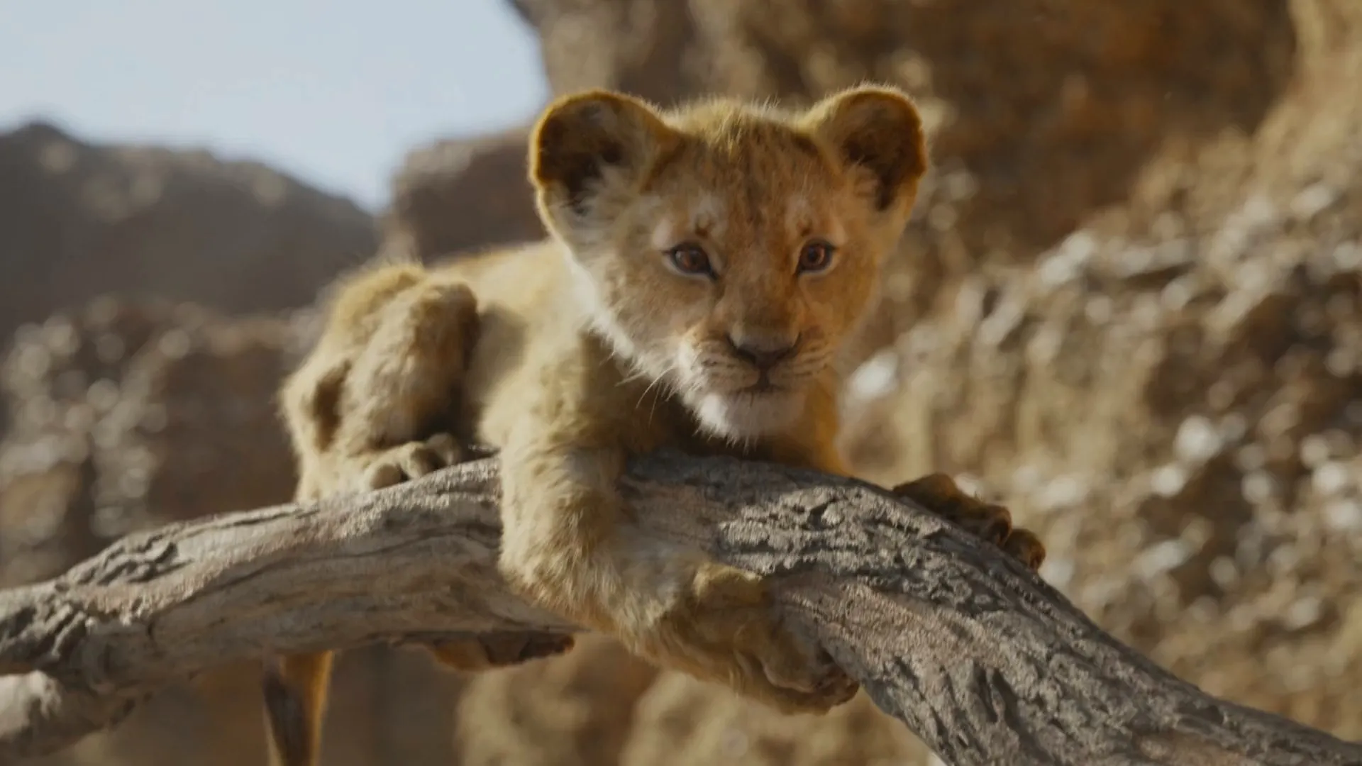 The Lion King (2019) Hindi (Org) Dual Audio 480p BluRay 380MB Screenshot