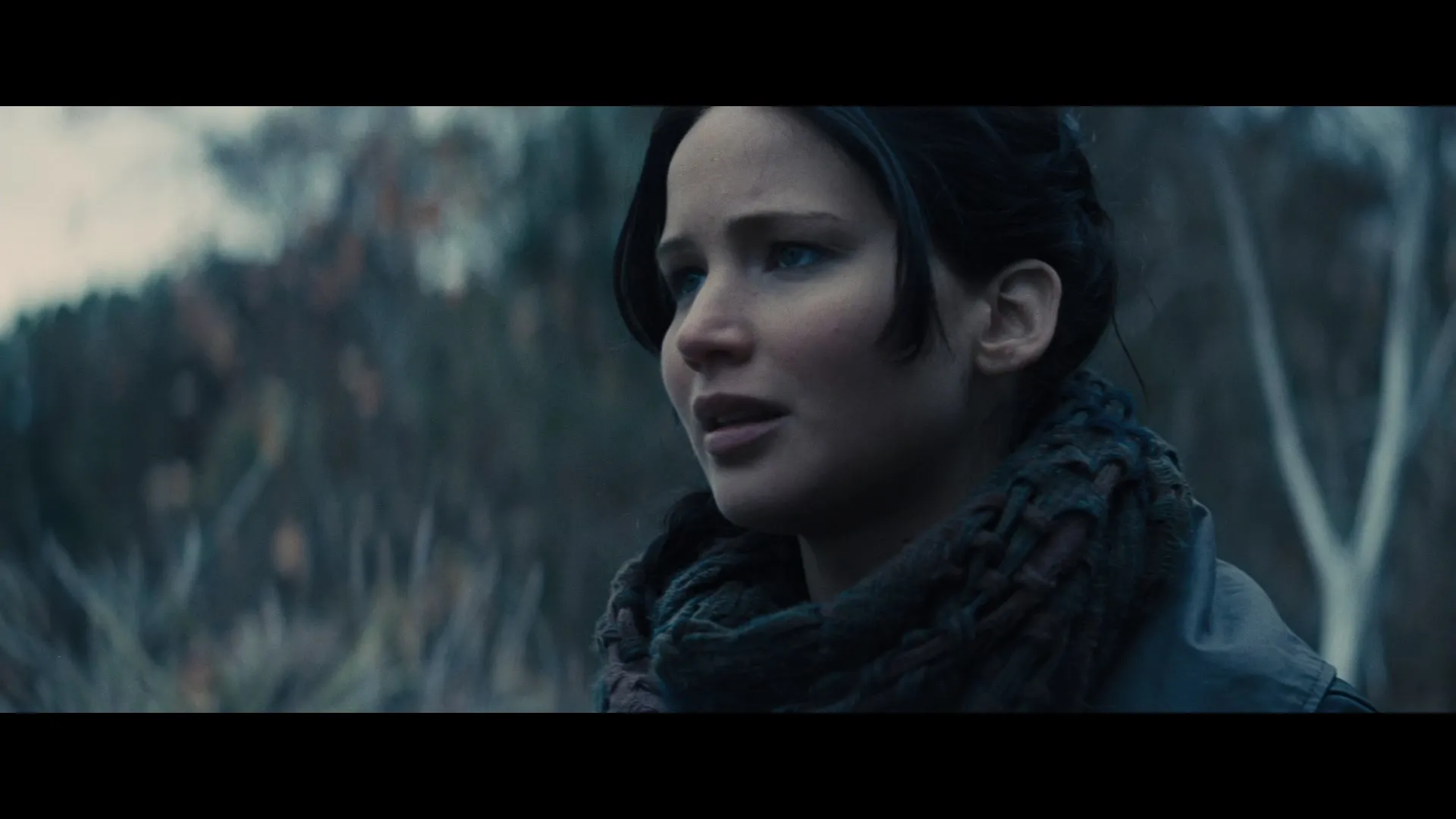 The Hunger Games Catching Fire 2013 Hindi Dual Audio 480p BluRay 480MB Screenshot